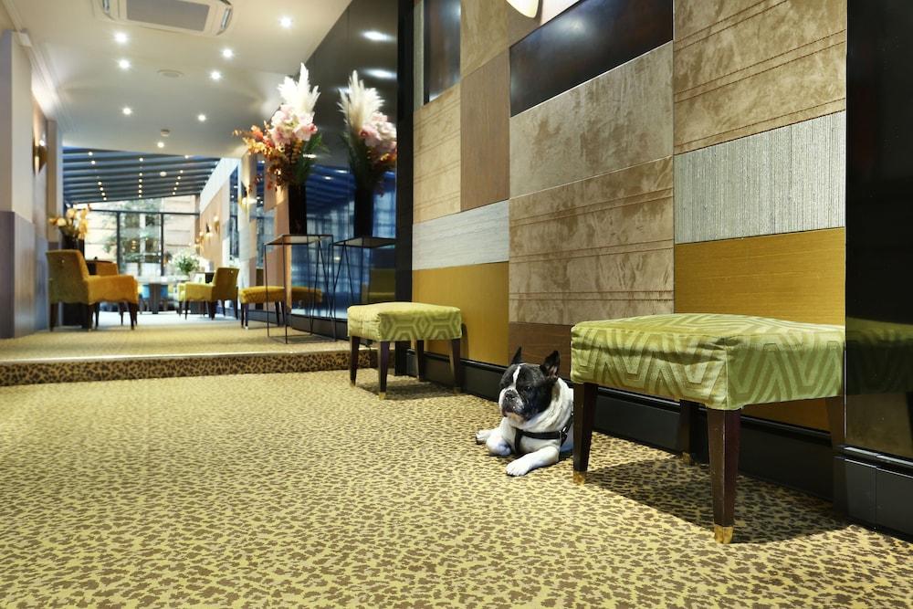 Hotel Concortel Parigi Esterno foto